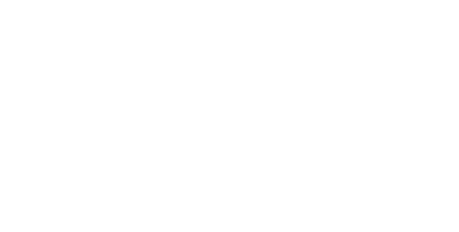 Le Palais Michel Ange